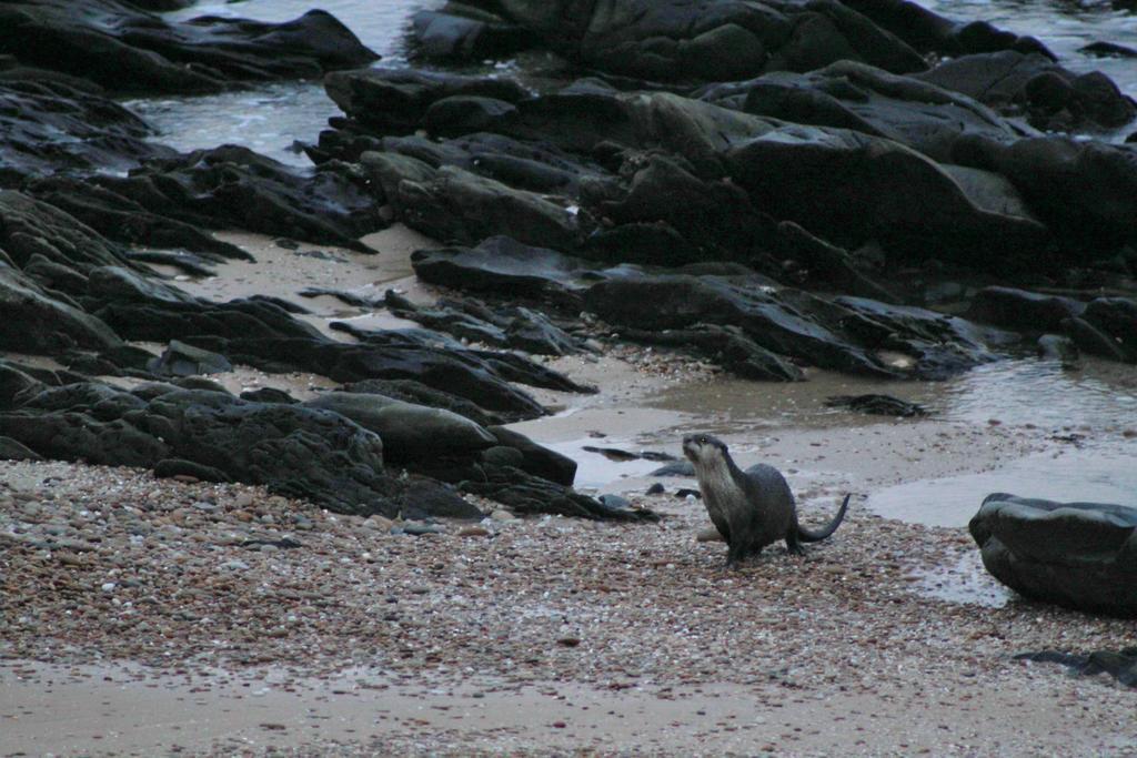 Murphys Port Elizabeth Bagian luar foto