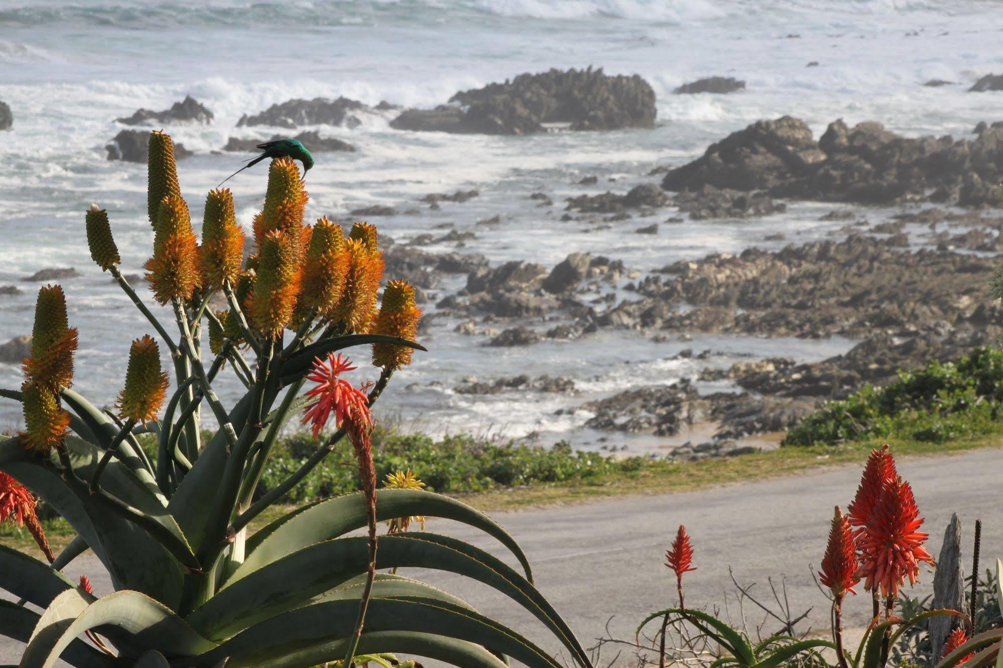 Murphys Port Elizabeth Bagian luar foto