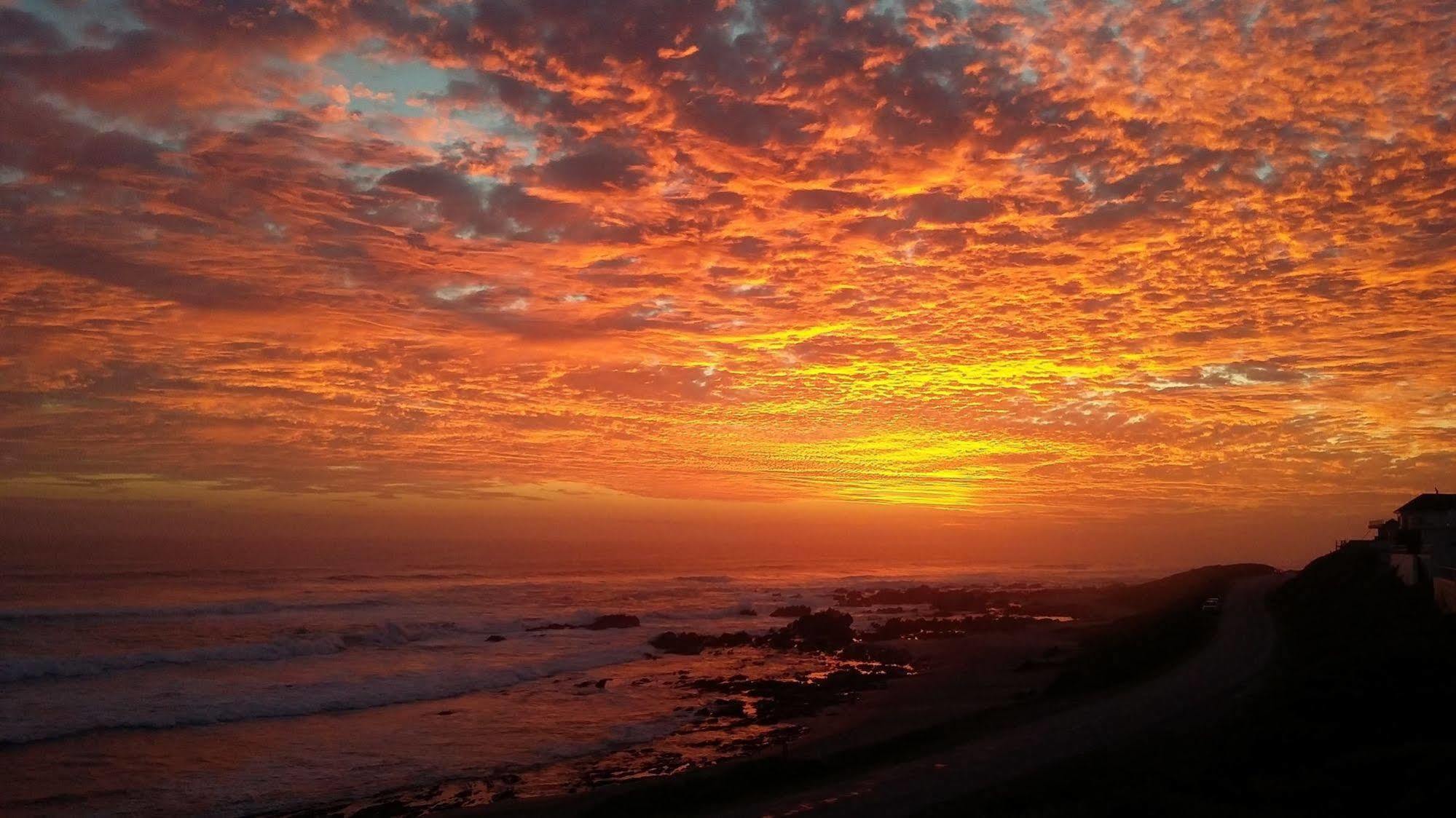 Murphys Port Elizabeth Bagian luar foto