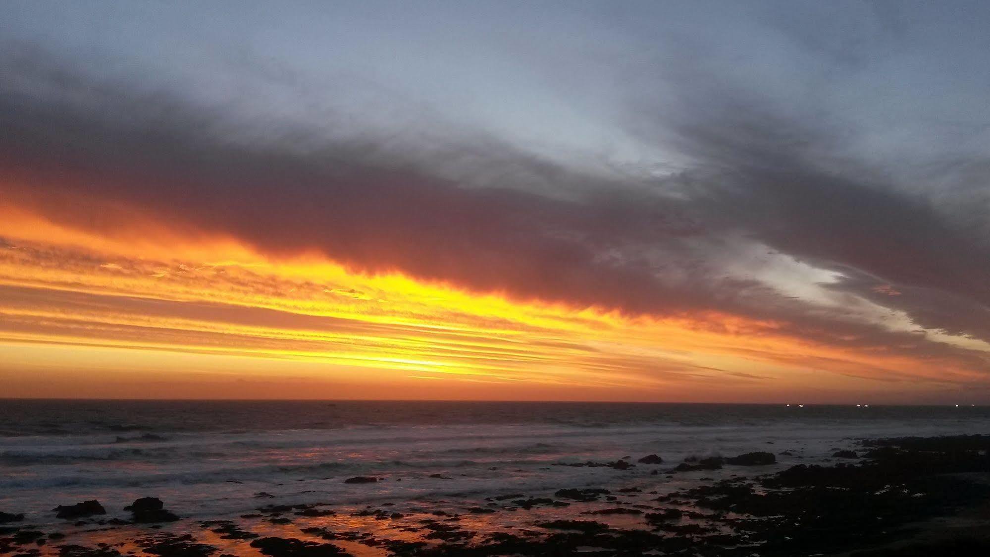 Murphys Port Elizabeth Bagian luar foto