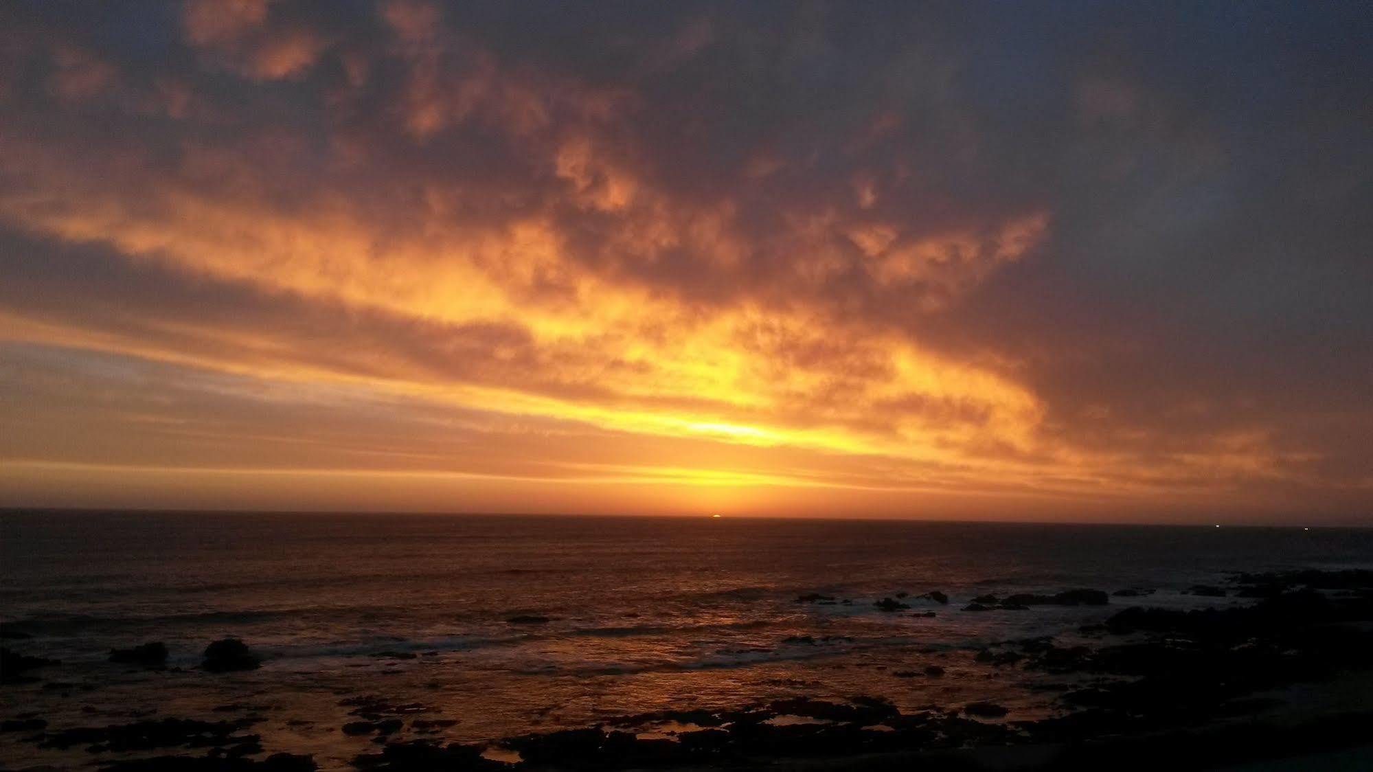Murphys Port Elizabeth Bagian luar foto