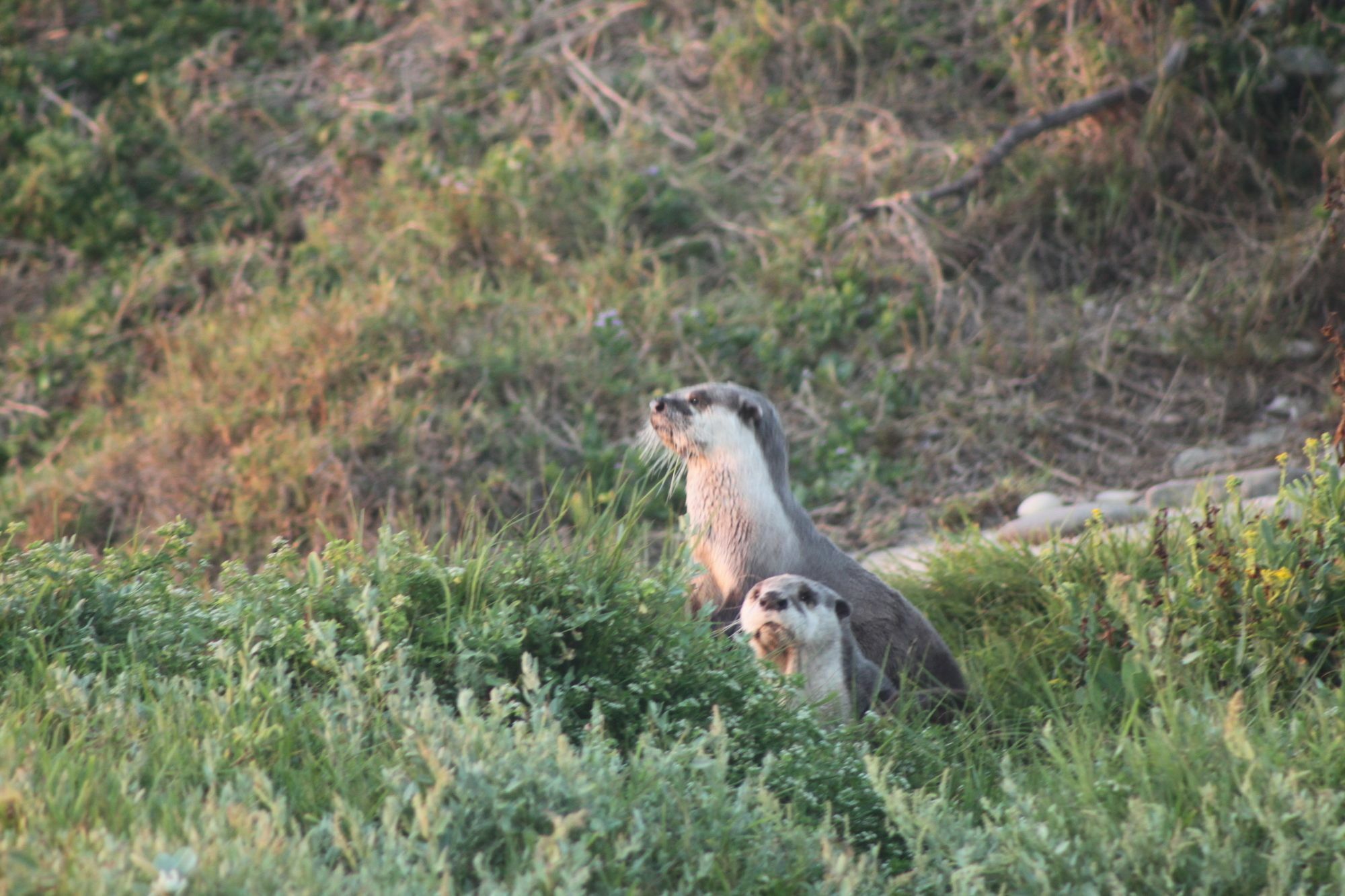 Murphys Bed & Breakfast Port Elizabeth Bagian luar foto